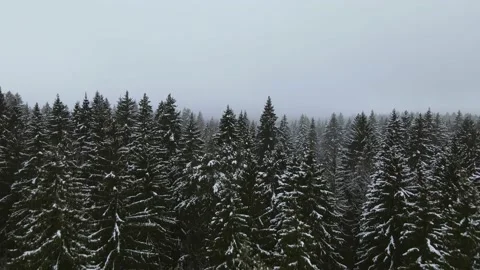 Aerial top down view of the snowy winter field. Drone is moving forward Stock Footage 197363091