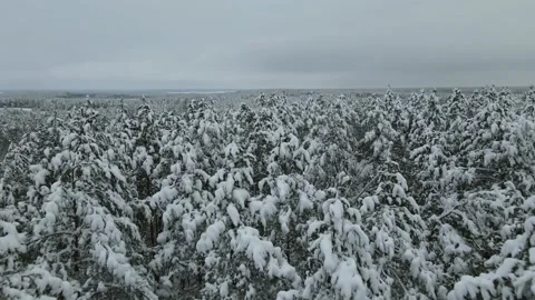 Aerial top down view of the snowy winter field. Drone is moving forward Stock Footage 197363102