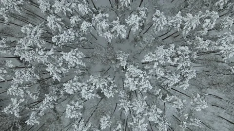 Aerial top down view of the snowy winter field. Drone is moving forward Stock Footage 197363145