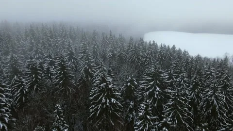 Aerial top down view of the snowy winter field. Drone is moving forward Stock Footage 197363178