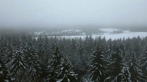 Aerial top down view of the snowy winter field. Drone is moving forward Stock Footage 197363203
