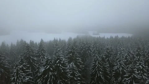 Aerial top down view of the snowy winter field. Drone is moving forward Stock Footage 197363272