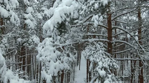 Aerial top down view of the snowy winter field. Drone is taking off Stock Footage 197363658