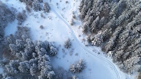 Aerial Top-Down View of a Snowy Road Winding Through a Frozen Spruce Forest Stock Footage 327594297