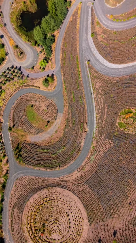 Aerial Top Down View Spiral Geometric Land Art Pattern Paths Starry Night Stock-Footage 343152117
