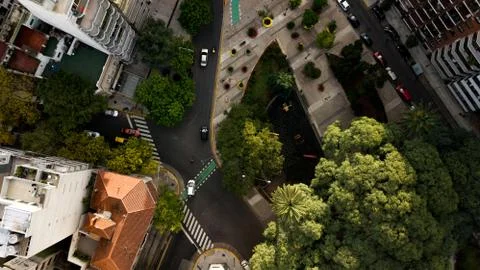 Aerial top-down view on the square with green areas, trees, Stock Photos