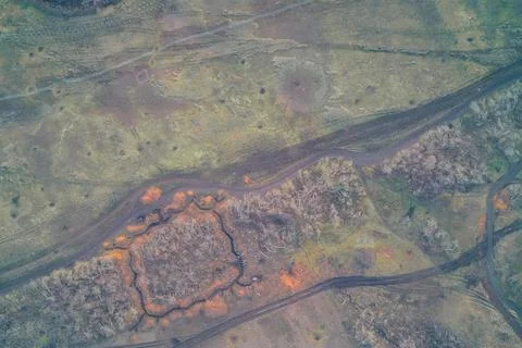 Aerial top down view of square military defensive positions dug around trees Stock Photos