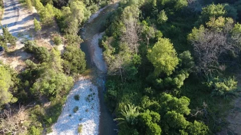 Aerial top down view of a stony river bed next to a green forest road Stock Footage 343961310