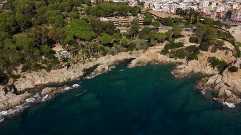 Aerial top-down view of stunning emerald bay with palm trees Stock Footage 321345754