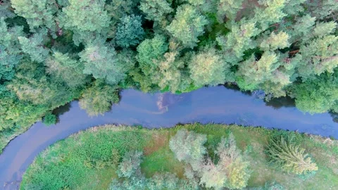Aerial top down view of summer forest with narrow river winding among the trees. Video stock 279435748