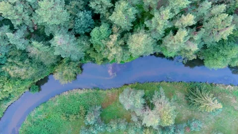 Aerial top down view of summer forest with narrow river winding among the trees. Stockbeeldmateriaal 282593205