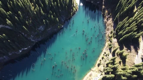 Aerial Top Down View of Sunken Forest in Turquoise Lake Kaindy Stock Footage 332216854