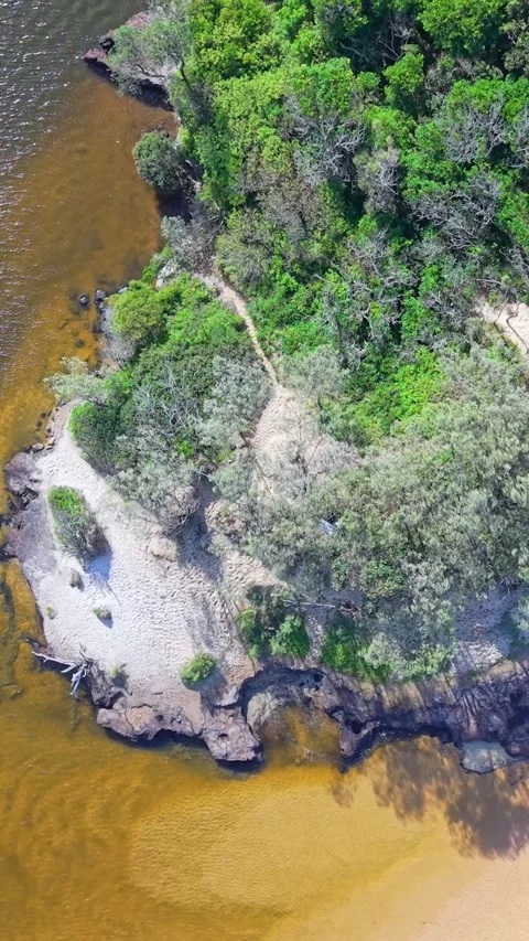 Aerial top-down view of Sunshine Coast riverbank meeting sandy beach and bu.. 스톡 동영상 334785143