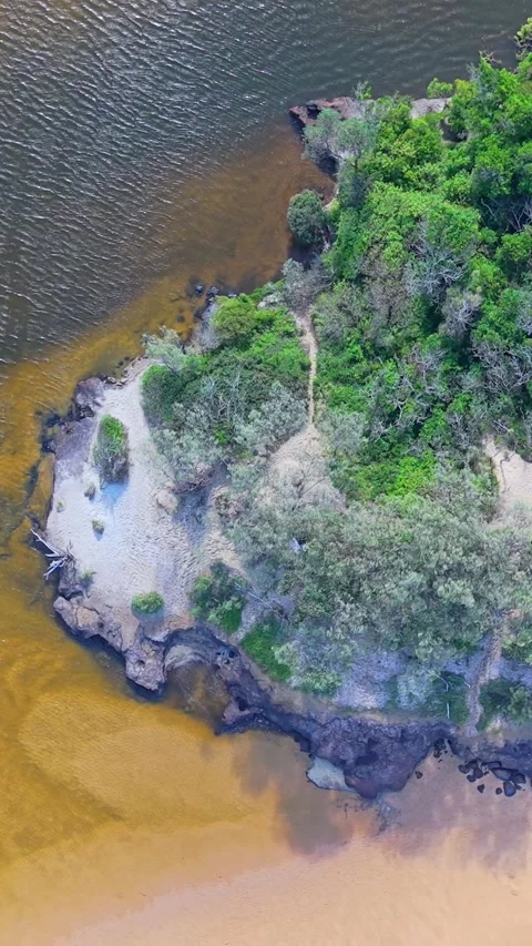 Aerial top-down view of Sunshine Coast riverbank meeting sandy beach and bu.. Stock Footage 334785226