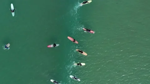 Aerial top down view of surfers catching a wave on longboards Video stock 133348107