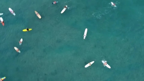 Aerial top down view of surfers paddling in waikiki ocean Stock Footage 337639795
