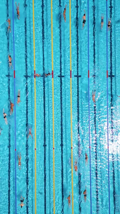 Aerial Top Down View of Swimmers Training in an Outdoor Swimming Pool Stock Footage 340548931