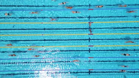 Aerial Top Down View of Swimmers Training in an Outdoor Swimming Pool Stock Footage 340548946