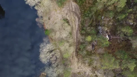 Aerial top-down view of a tent pitched in a Norwegian pine forest near a calm of Video stock 335199313