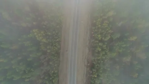 Aerial top down view through the fog clouds on an intercity road between green Stock Footage 167301339