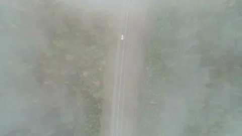 Aerial top down view through the fog clouds on an intercity road between green Stock-Footage 167301481