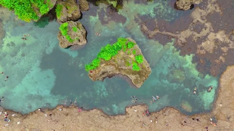 Aerial top-down view of the tidal pool area featuring tourists swimming around Stock Footage 323923409