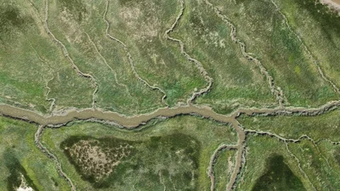Aerial top down view of tidal marshland river system 스톡 동영상 343101692