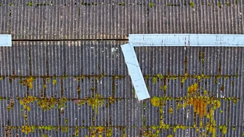 Aerial top-down view of a tiled roof with white edge lines and mossy patches Stock Footage 331613637