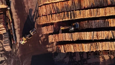 Aerial Top Down View of Timber Stacks and Forestry Operations at Wellington Stock Footage 343900244