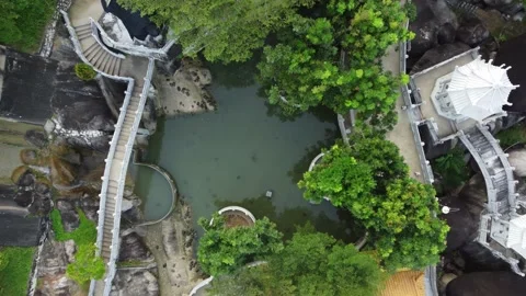 Aerial top down view tortoise pond Stock Footage 219511638