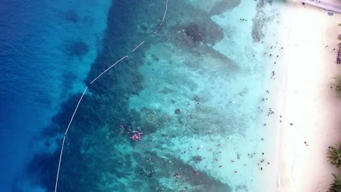 Aerial top down view of tourists snorkelling at the beach Stock Footage 162644285
