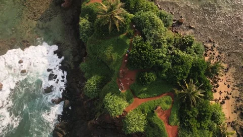 Aerial top down view Tourists Sightseeing Parrot Island surrounded by turqu.. Stock-Footage 309301703