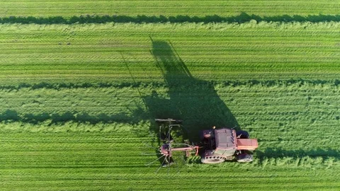 Aerial top-down view tractor raking grass 4k Stock Footage 84036759
