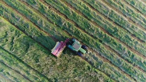 Aerial top down view of tractor mowing grass 4k Stock Footage 90484247