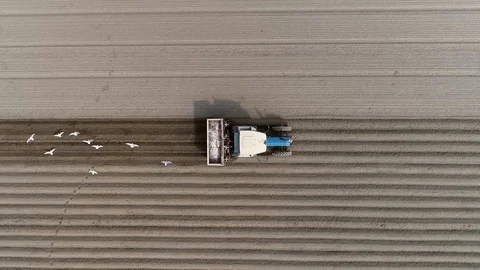 Aerial top down view of tractor planting tulip bulbs into soil 4k Stock Footage 125601551