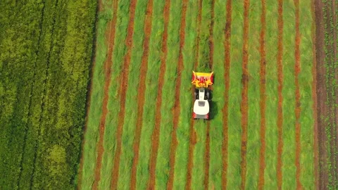 Aerial top-down view of a tractor cutting grain moving on beautiful fresh green Stock Footage 144481142