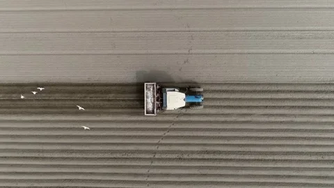 Aerial top down view of tractor planting tulip bulbs in soil 4k Stock Footage 237865850