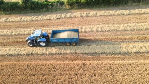 Aerial top-down view of tractor towing grain trailer full of golden ripe wheat. 스톡 동영상 285735918