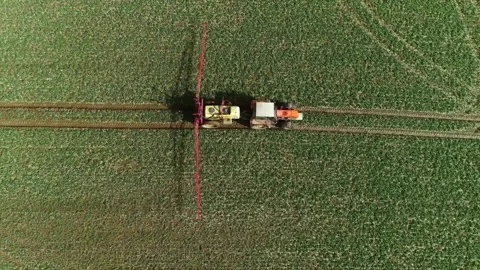 Aerial top down view of tractor spraying fertilizer on green corn field Stock Footage 332869452