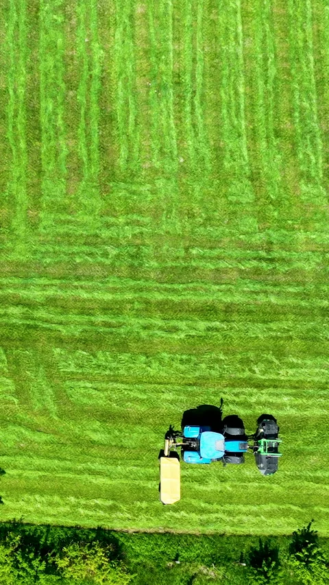 Aerial Top Down View of Tractor Mowing Green Grass Field Stock Footage 336567149