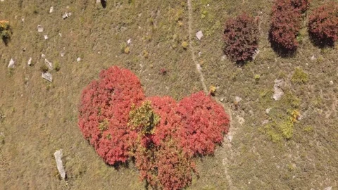 Aerial top down view trail pathway hiking path on countryside fall outdoors.. Vídeo Stock 287026364