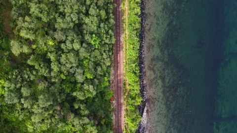 Aerial top down view of train tracks between forest and green sea - Scotland 库存影片 164922547