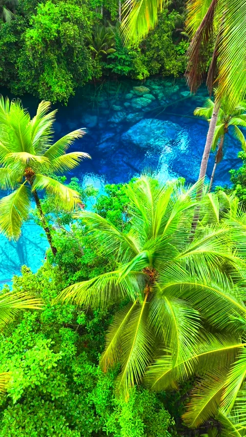Aerial top-down view of transparent blue water with submerged tree logs Stock Footage 346748411