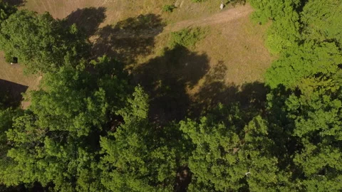 Aerial top down view of trees and field in Arkansas countryside. Stockbeeldmateriaal 200981842
