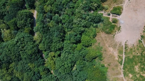 Aerial top down view of trees and trails in Grunewald Forest Berlin Vídeos de archivo 249107132