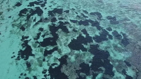 Aerial Top Down View of Tropical Ocean Texture and Coral Reef in Bali Video stock 332696993