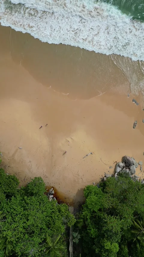 Aerial Top Down View of Tropical Beach and Lush Forest in Phuket, Thailand Video stock 335583746