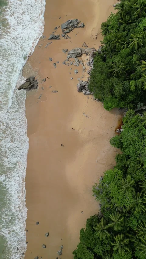 Aerial Top Down View of Tropical Beach in Phuket, Thailand Stock Footage 335583804