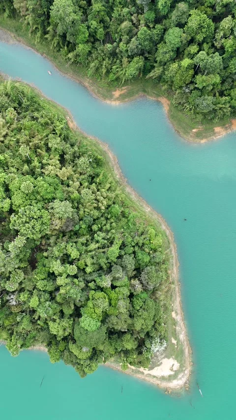 Aerial Top Down View of Tropical Forest River Landscape in Khao Sok, Thailand Stock Footage 335964495