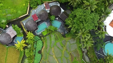 Aerial top down view of tropical resort villas and rice fields in bali Video stock 336648215